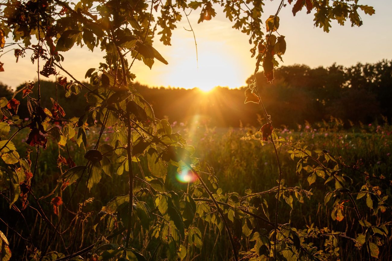 Fall Evenings at Home Without Spending Much