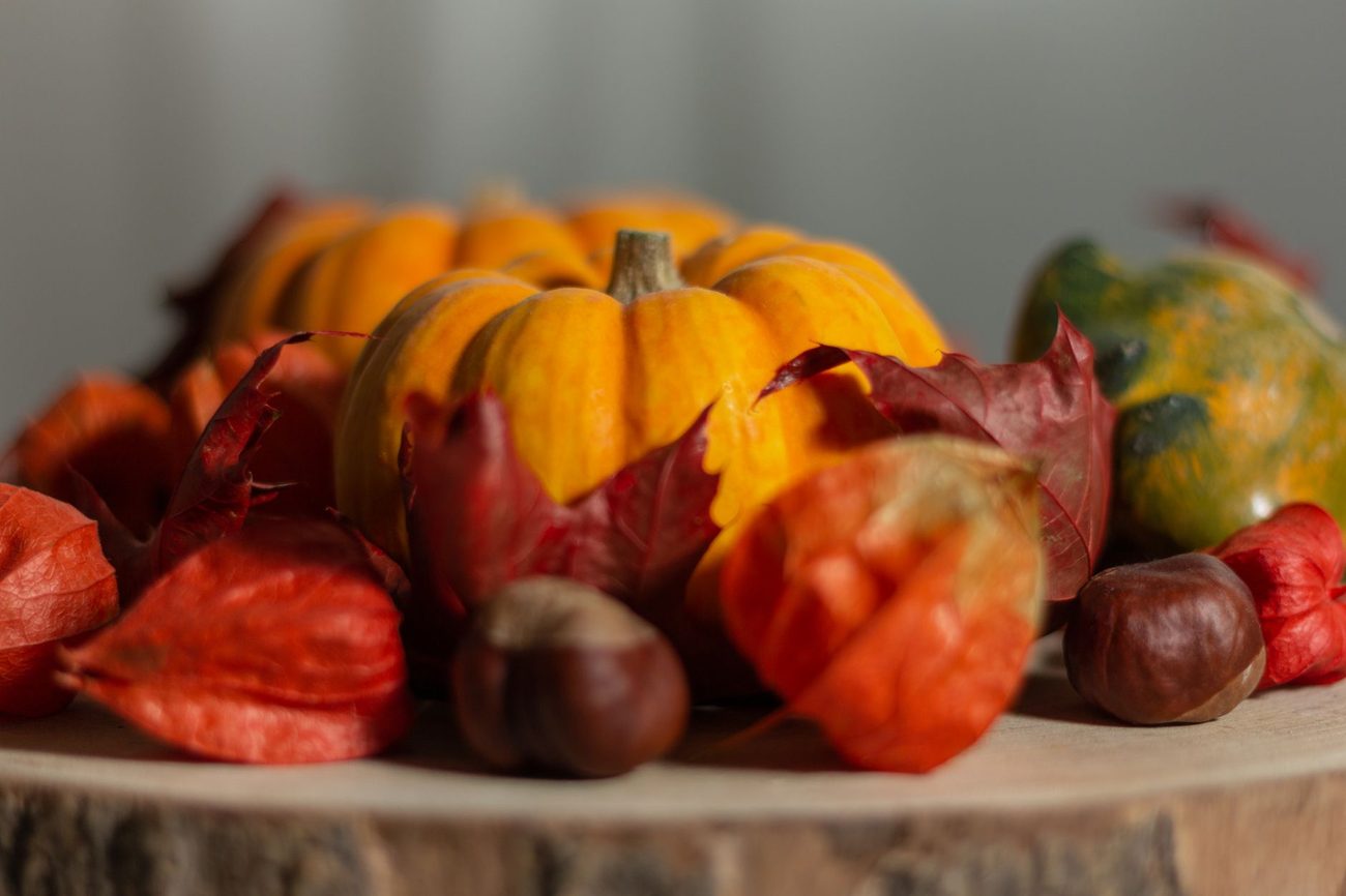 Fall Touches for a Rental That Come Down in Ten Minutes
